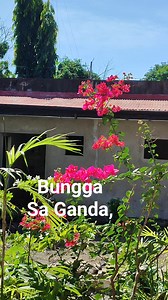 #StarsEverywhere | Gles Feliciano