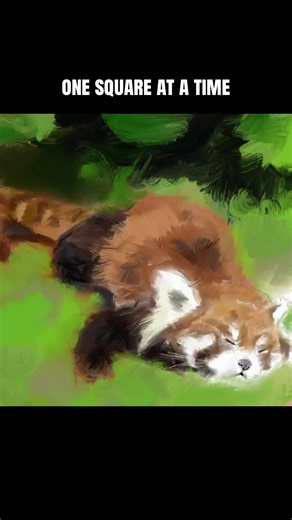 drawing a red panda in procreate using the grid method to map the proportions #gridmethod #procreate #drawingprocess #animaldrawing #redpanda