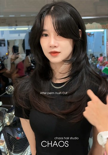 Beat the songs and Hush Cut Perm..🫶🏻 #chaoshairstudio #hairstyle #haircut #hushcut #short