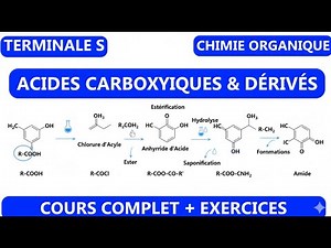 Carboxylic Acids and their Derivatives - COMPLETE COURSE