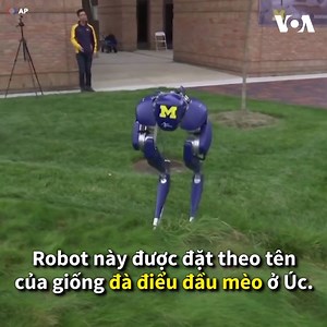 88K views · 502 reactions | Robot hai chân Cassie có thể giúp các đội...