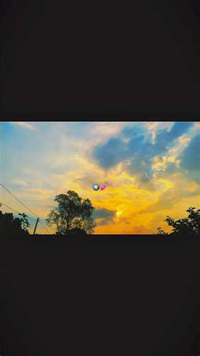 Cinematic Nature Video | Dramamine (Background Music) | Scenic Forest & River Aesthetic #cinematic