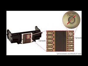 Canon Pixma Printer Printhead Function and Failure - An Inside Look