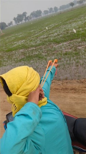 birds hunting amazing shot #birds #hunting #trending #cattle egrat hunt #handmade Slingshot