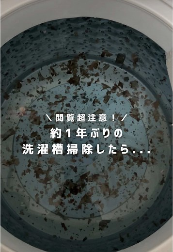 洗濯槽の簡単掃除術