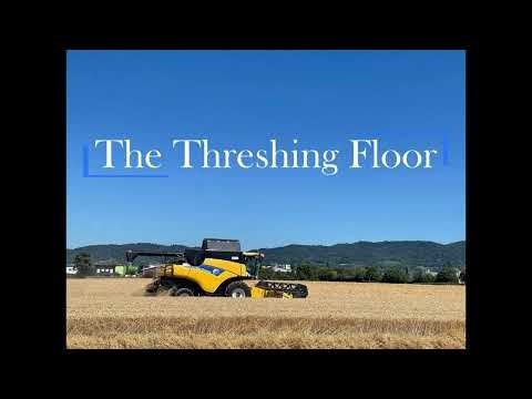 The Threshing Floor - Purim And Seeing God Behind The Scenes