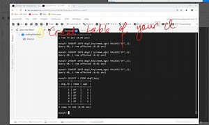 9. Section 4 Exercise And Solution