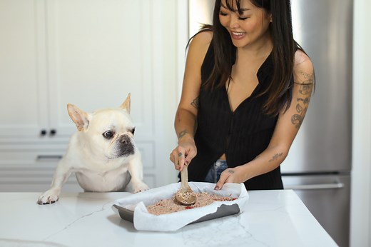 DIY: Turkey Veggie Meatloaf for Dogs • Where's The Frenchie?