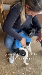 14K views · 333 reactions | MAI RICEVUTO RICHIESTE ❗️ COME TUTTI I...