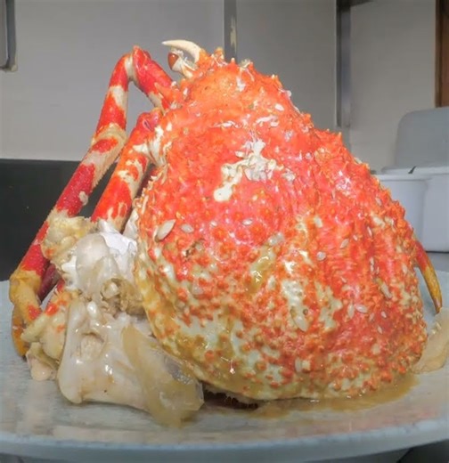 Cooking juicy giant Japanese crab recipe | Justin Charley