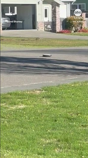 Robot vacuum cleaner escapes from California home after earthquake