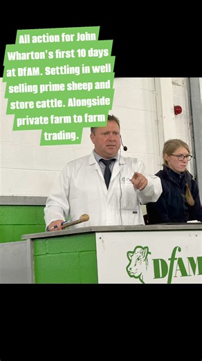 All action for John Wharton's first 10 days at DfAM. Settling in well selling prime sheep and store cattle. Alongside private farm to farm trading | Darlington Farmers Auction Mart