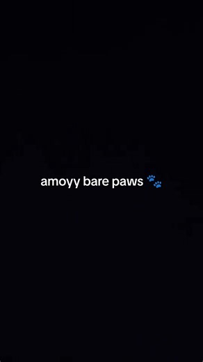 #amoythagoddess #amoythagoddess🤪🤩💥✊🏾🗣🇯🇲