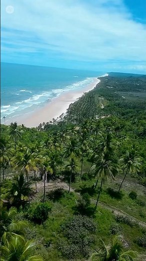 South Bahia 🇧🇷 | Paradise Coastlines & Tropical Rhythms 4K #Shorts