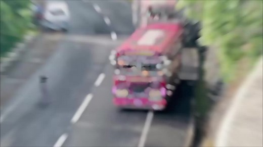 Vibrant Pink and White Bus on Scenic Drive