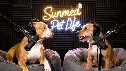 🐾 Keep calm & wag on! 🐶✨ Sunmed Chillin' Out CBD Pet Chews are specially crafted to support your furry friend's relaxation and overall wellness. Whether it's fireworks, car rides, or just everyday stress, give them the comfort they deserve - naturally. 🌿💚 🦴 Tasty easy to give 💚 Promotes relaxation 🌱 Hemp-derived & pet-safe Because happy pets = happy humans. 🐾💛 📍 Available at Sunmed | Get Sunmed Cape Coral, FL