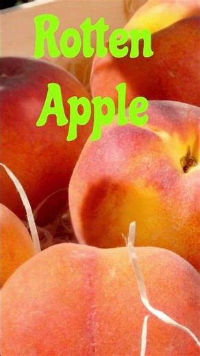 Increase Fruits Shelflife#Nanotech #Forestry #ScienceShorts #FoodHacks #2026Tech #Sustainability