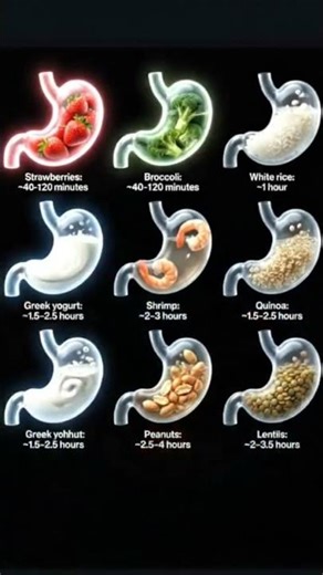 “Different foods digest at different speeds. Know what you eat and how your body processes it.”