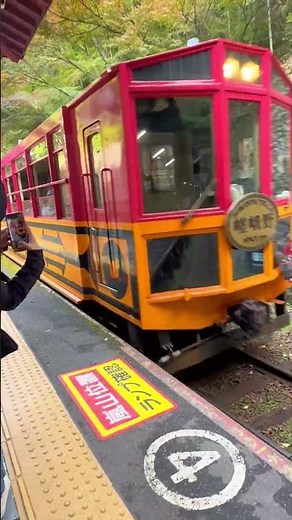 Exploring Kyoto’s Best! 🚉🍣 Temples, Markets & Scenic Trains 🇯🇵 #traveljapan