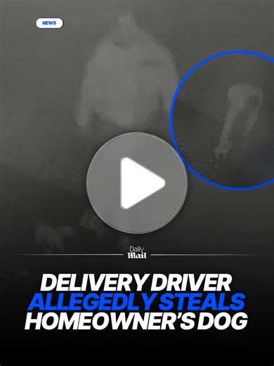 Heartbreaking Dog Theft in Woodsboro, Texas