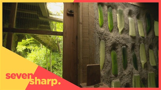 An exclusive insight into the Northland retreat of celebrated and eccentric artist and architect Friedrich Hundertwasser. The converted pigsty he lived in. The cave crawling with giant wētā. And his burial site in the “Garden of the Happy Dead”. Michael Holland visits this remarkable property which will soon be open to the public. | Seven Sharp