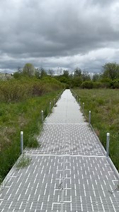 21K views · 442 reactions | Foraging 101 - THE Book to Use #foraging #wildfood #prepper | Prepper Press | Facebook