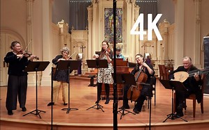 【Voices of Music官网8K】帕海贝尔《卡农》(原稿) 巴洛克风格