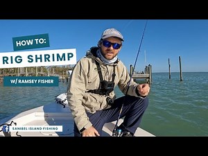 How to Rig Shrimp | Rigging shrimp for anything!