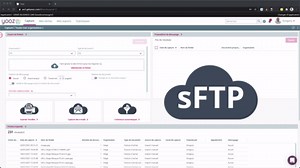 Yooz Rising: la capture automatique