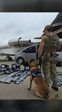 MrBeast Jet Winner Arrested — Then Cleared — In Paraguay Drug Bust