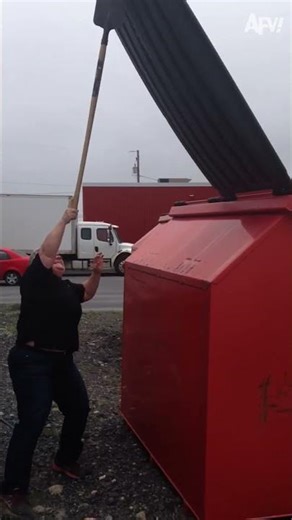 Trash Day Gone Wrong