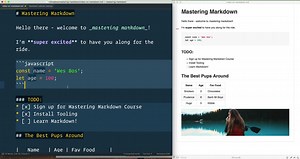 Mastering Markdown - wes bos