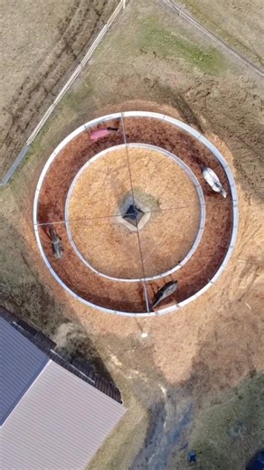 PENNWOODS || Percheron Weekend Training