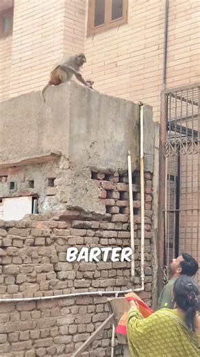 One Phone = One Banana 🍌