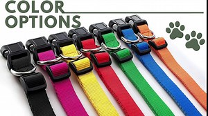 Embroidered Dog Collars Personalized, Custom Collar w Text and Phone Number | 3 Adjustable Sizes - 8 Colors | - Safe&Secure Pet Collars with ID, Pet Name for Boy, Girl Dogs, Puppy