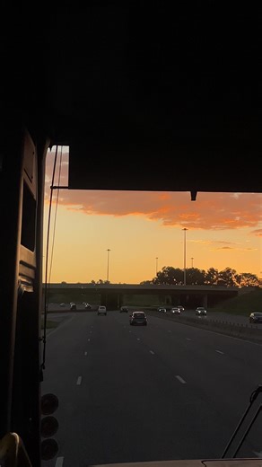 Aesthetic Inspirations from My Gallery Collection