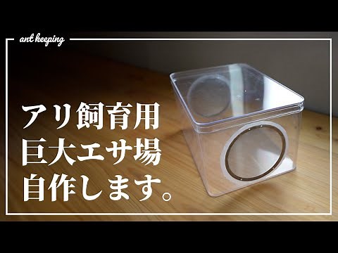 I made a giant ant breeding and feeding area! [DIY ant breeding]