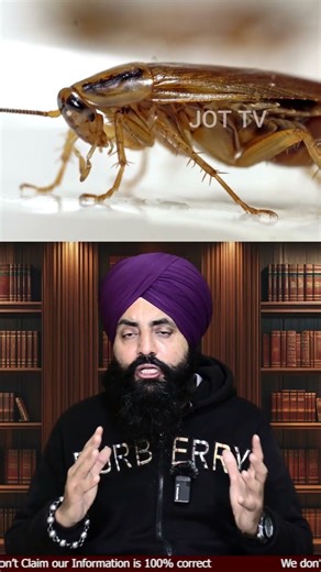 Home Remedies to Get Rid of Cockroaches 🪳✨ Natural Solutions #CockroachRemedies #HomeRemedies