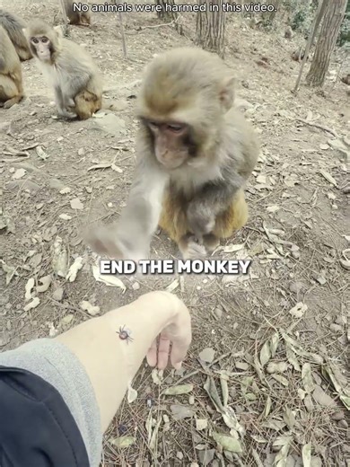 He Saved Her From Being Infested!