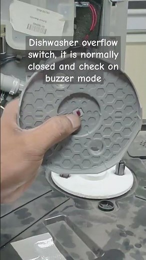 Dishwasher overflow switch
