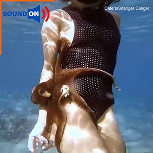 5.4M views · 895 reactions | This octopus just won’t let go!  | Daily Mail US | Facebook