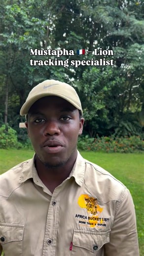 Explorez la Savanne Tanzanienne avec Nos Guides Francophones