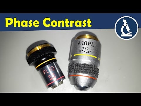 Phase Contrast Microscopy Basics