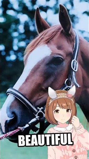 Yukino Bijin Was a Beautiful Horse #umamusume