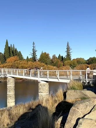 特卡波湖#旅行 #新西兰风景 🦯Lake Tekapo