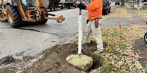 Now is the best time to plant trees
