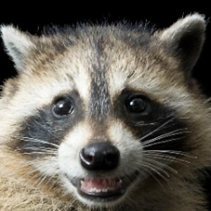 astronautswimmer - Twitch