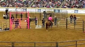 7.4K views · 472 reactions | Was able to get on my horse and ride him around shortly after 1/2 way through the first round. Pen Wrangler stepped on the pen ,making history and she help my horse move out comfortably. After a couple crow hops my horse smoothed out and is a great mover! | Richard Winters Horsemanship | Facebook