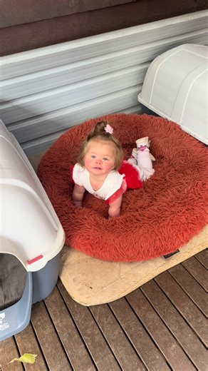 Chloe May Pike on Instagram: "Possibly the most cutest video of Grace but ouch. 🥹🤣 How’s the whole family in the background? 🤬 #poser #toddler #dogbed #cutest #ouch"