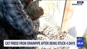 15K views · 184 reactions | Aww! This cat was freed from drainpipe after being stuck for four days | HLN | Facebook